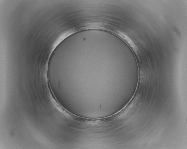 X0000115561386200911201813