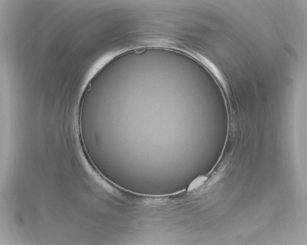 X0000115561389200911201813