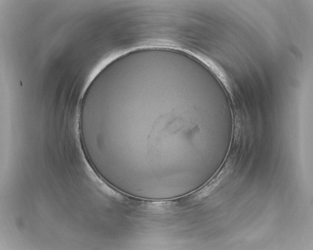 X0000115561390200911201813