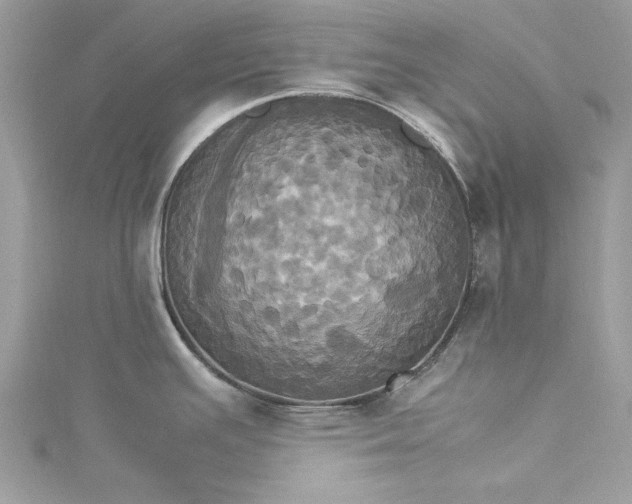 X0000115561391200911201813