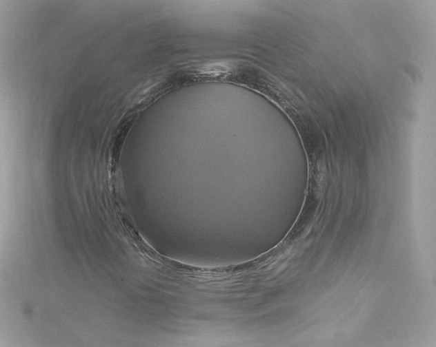 X0000115561394200911201813