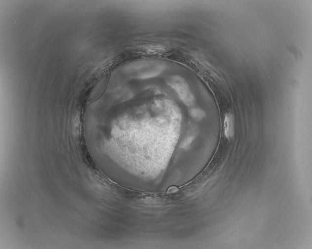 X0000115561395200911201813