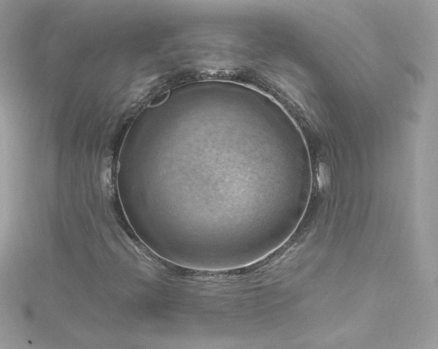 X0000115561396200911201813