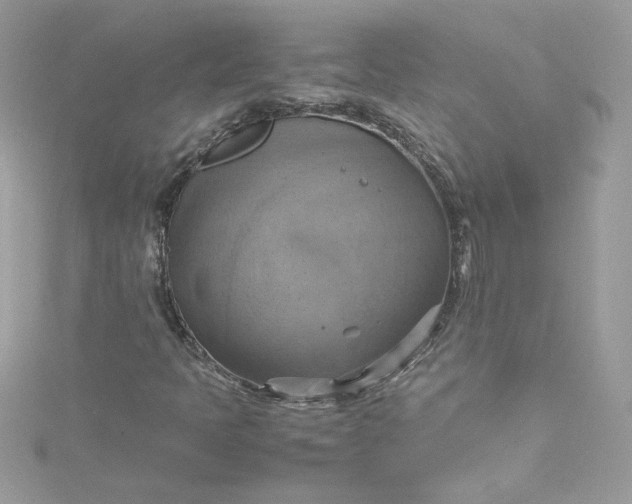 X0000115561397200911201813