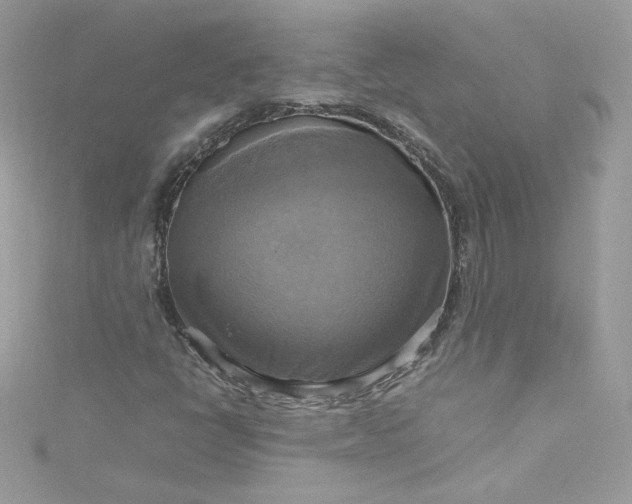 X0000115561398200911201813