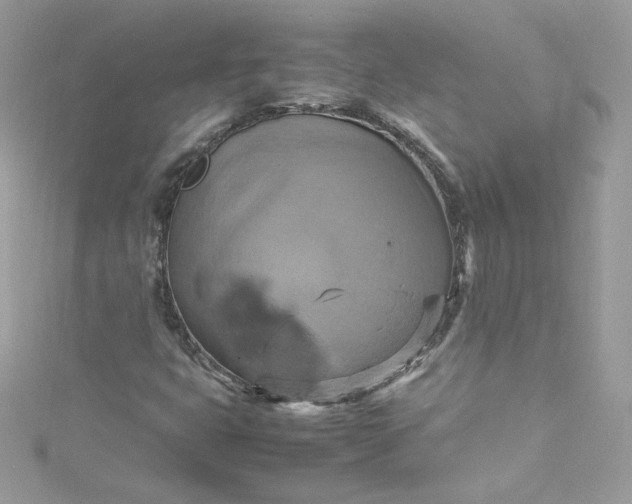 X0000115561399200911201813