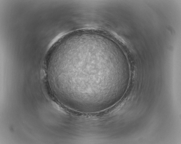 X0000115561400200911201813