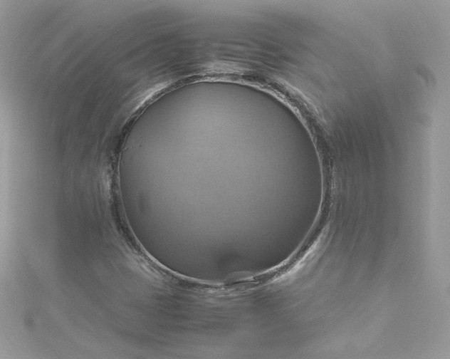 X0000115561401200911201813