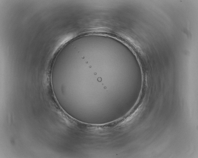 X0000115561405200911201813