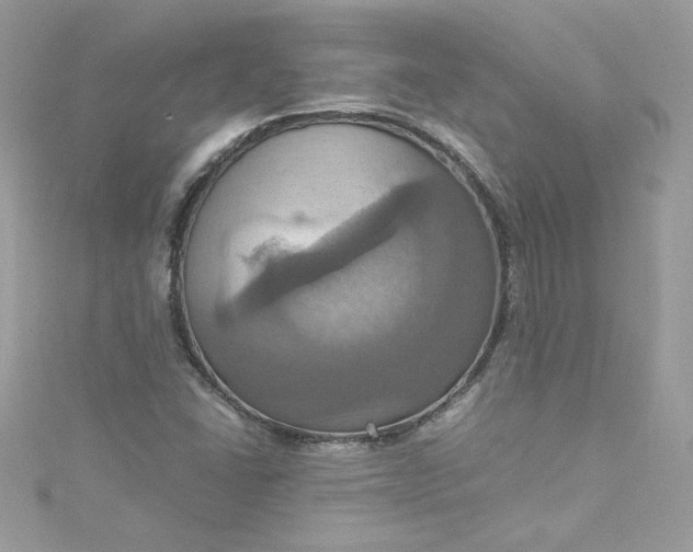 X0000115561406200911201813