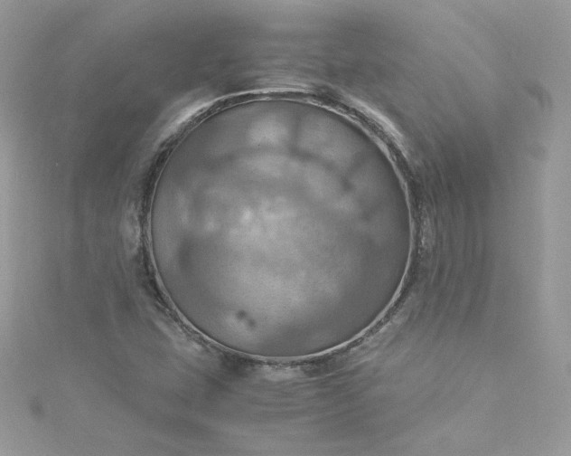 X0000115561407200911201813