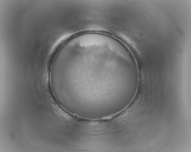 X0000115561408200911201813