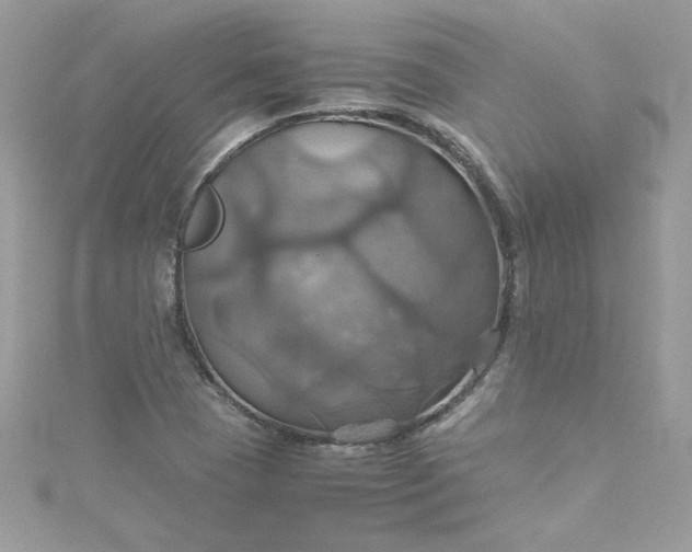 X0000115561409200911201813