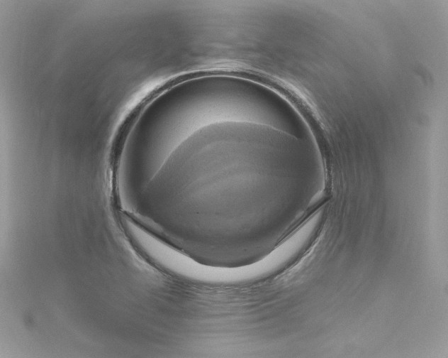 X0000115561414200911201813