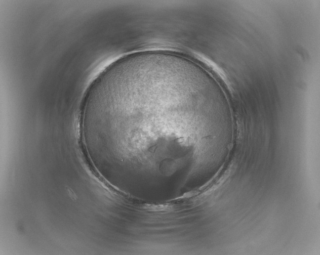 X0000115561415200911201813