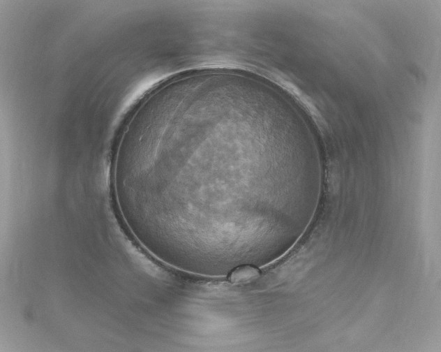 X0000115561416200911201813