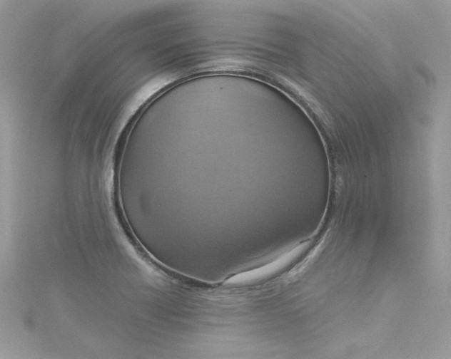 X0000115561418200911201813