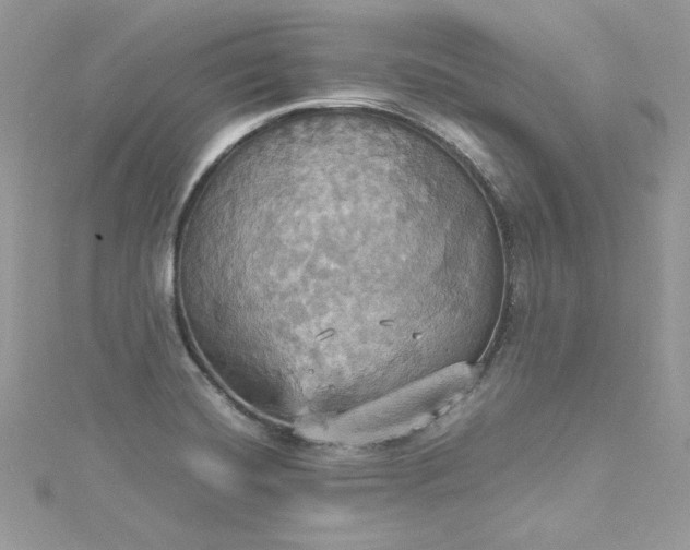 X0000115561420200911201813