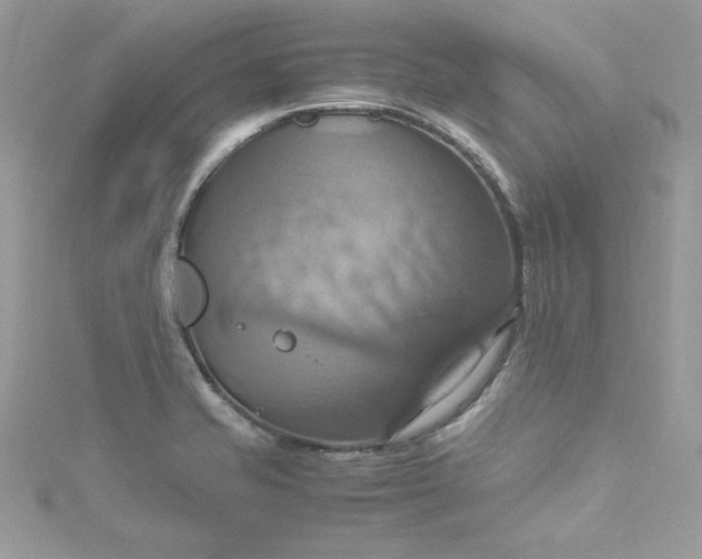 X0000115561421200911201813