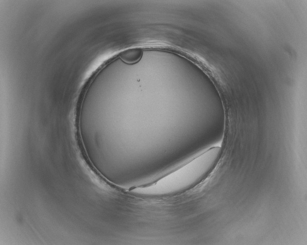 X0000115561422200911201813