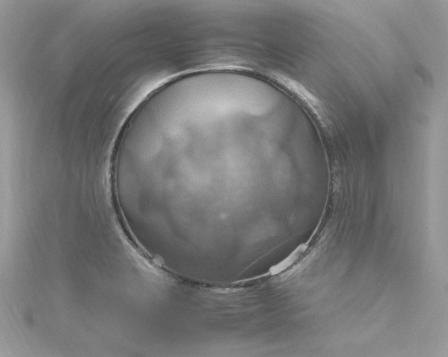 X0000115561423200911201813