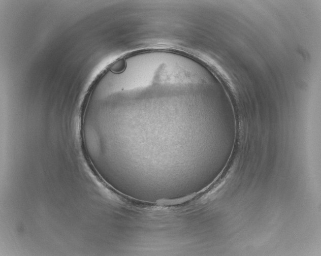 X0000115561424200911201813