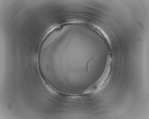 X0000115561425200911201813