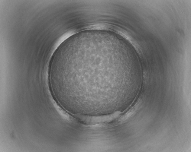 X0000115561426200911201813