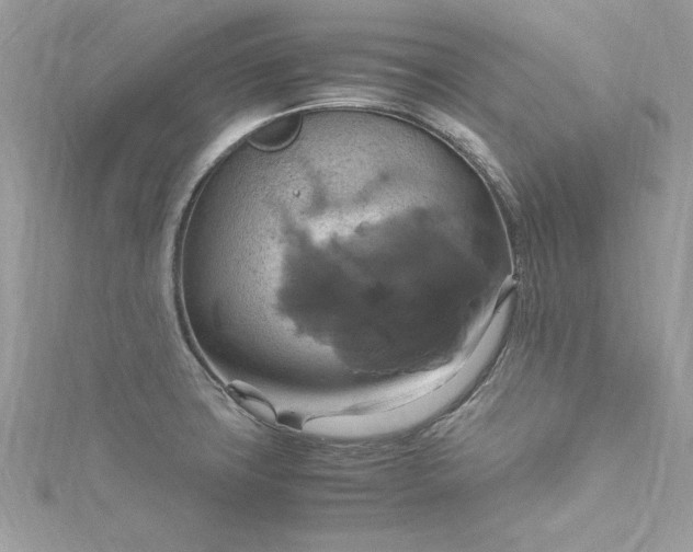 X0000115561427200911201813