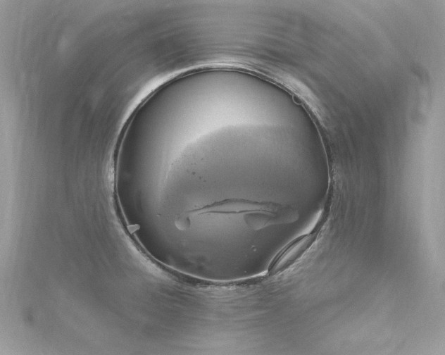 X0000115561428200911201813