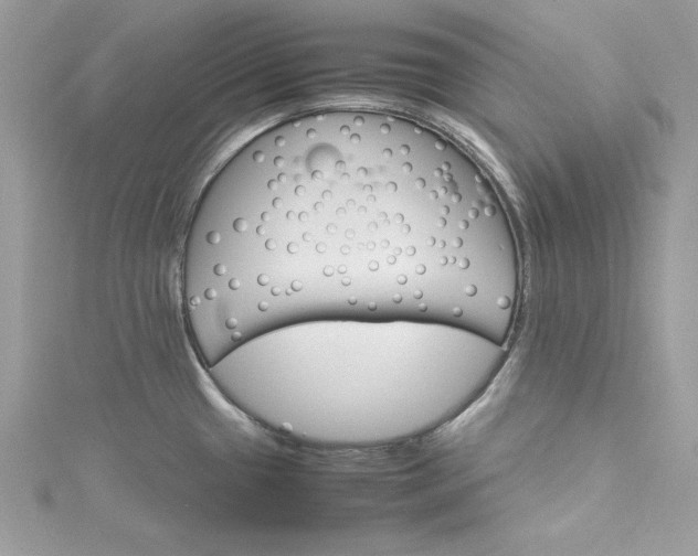 X0000115561433200911201813