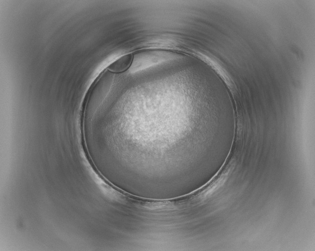 X0000115561434200911201813