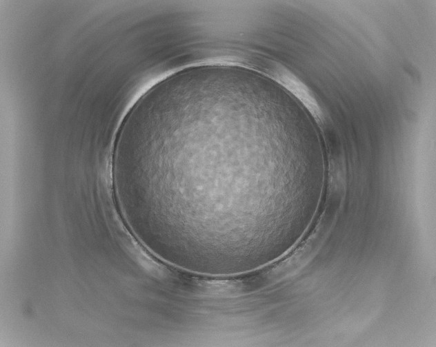 X0000115561436200911201813