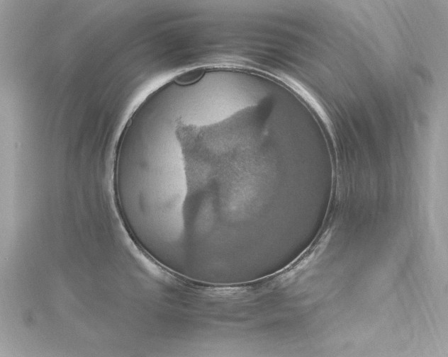 X0000115561437200911201813