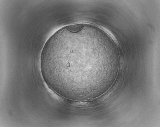 X0000115561439200911201813