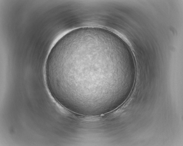 X0000115561440200911201813