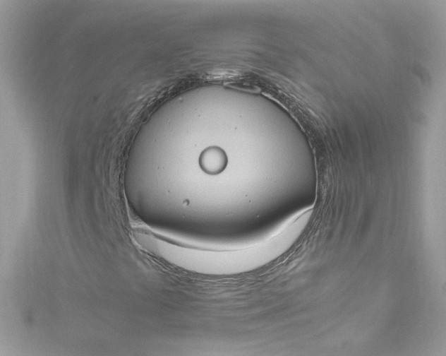 X0000115561441200911201813