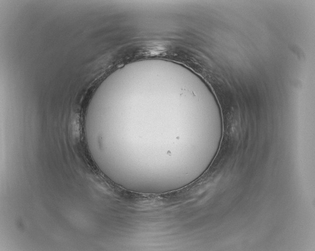 X0000115561442200911201813