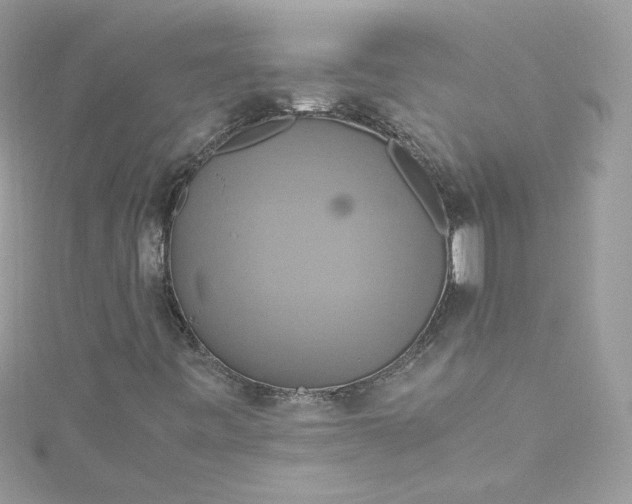 X0000115561443200911201813