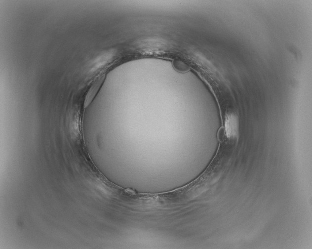 X0000115561444200911201813