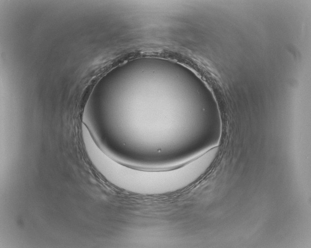 X0000115561445200911201813