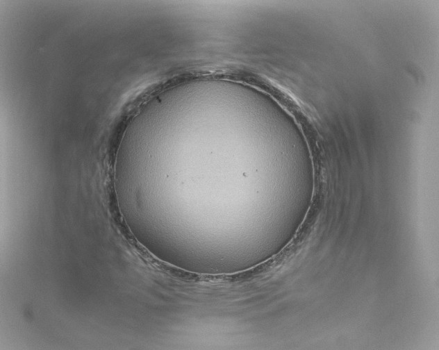 X0000115561447200911201812