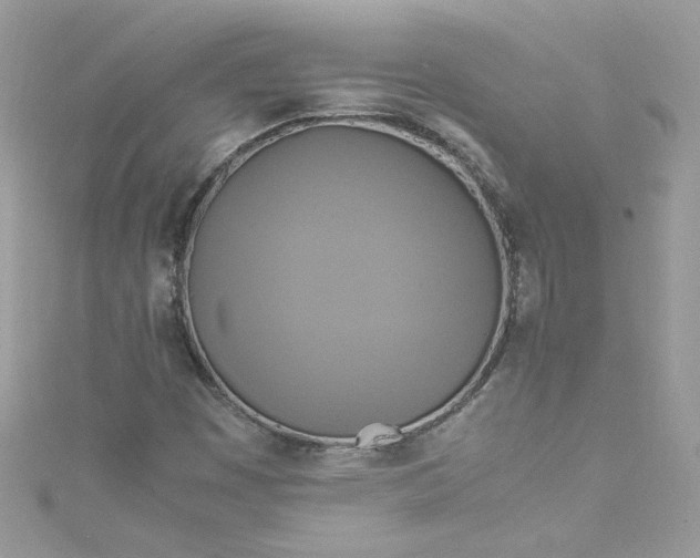 X0000115561449200911201812