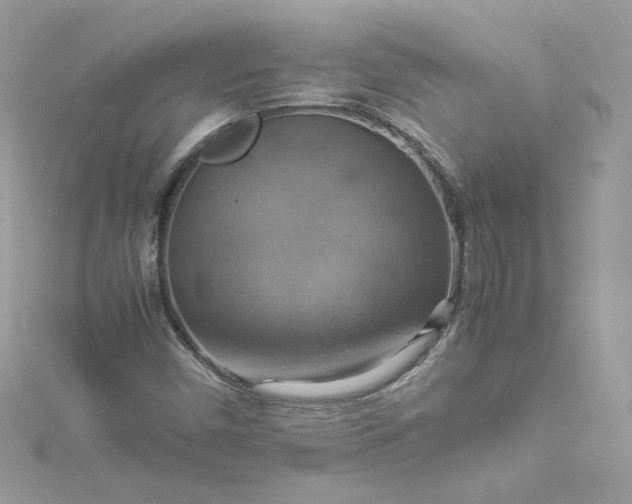 X0000115561450200911201812