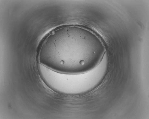 X0000115561452200911201812