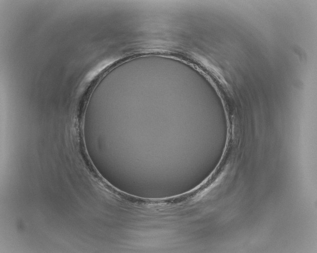 X0000115561453200911201812