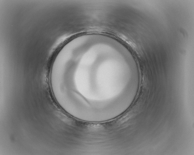 X0000115561454200911201812