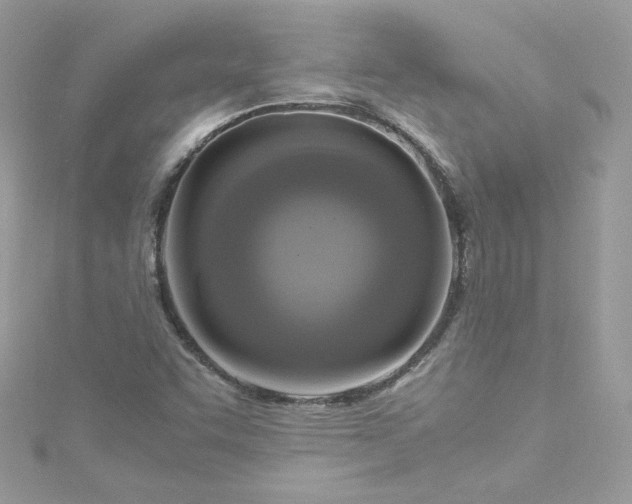 X0000115561455200911201812