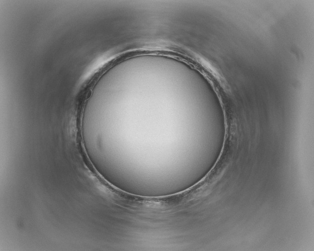 X0000115561456200911201812