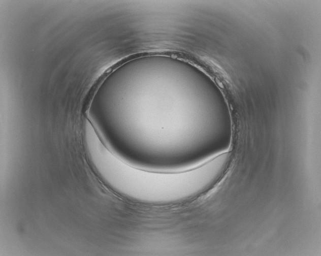 X0000115561457200911201812